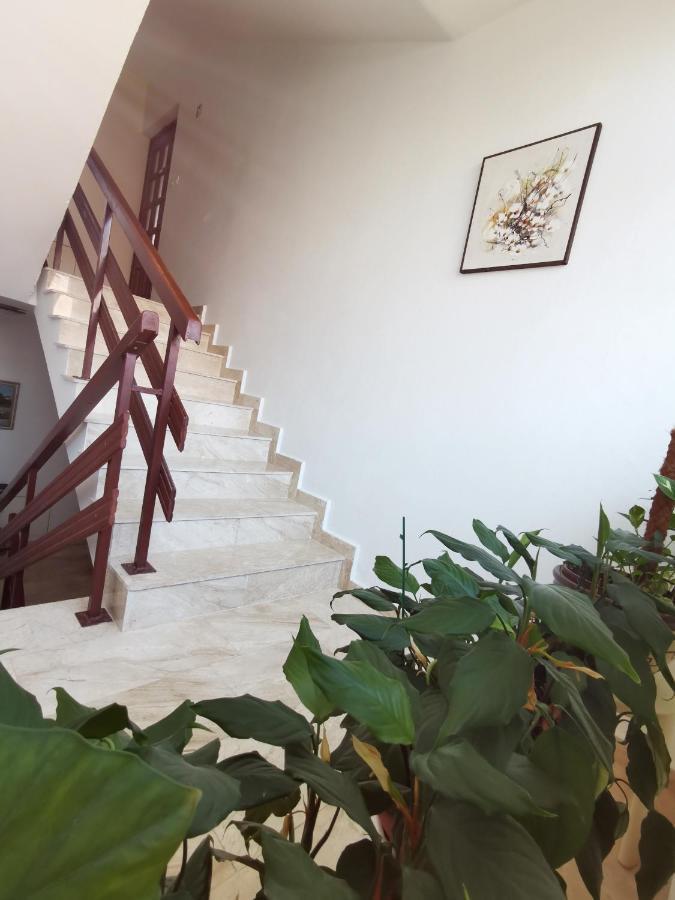Apartment Kamen Novi Vinodolski Buitenkant foto